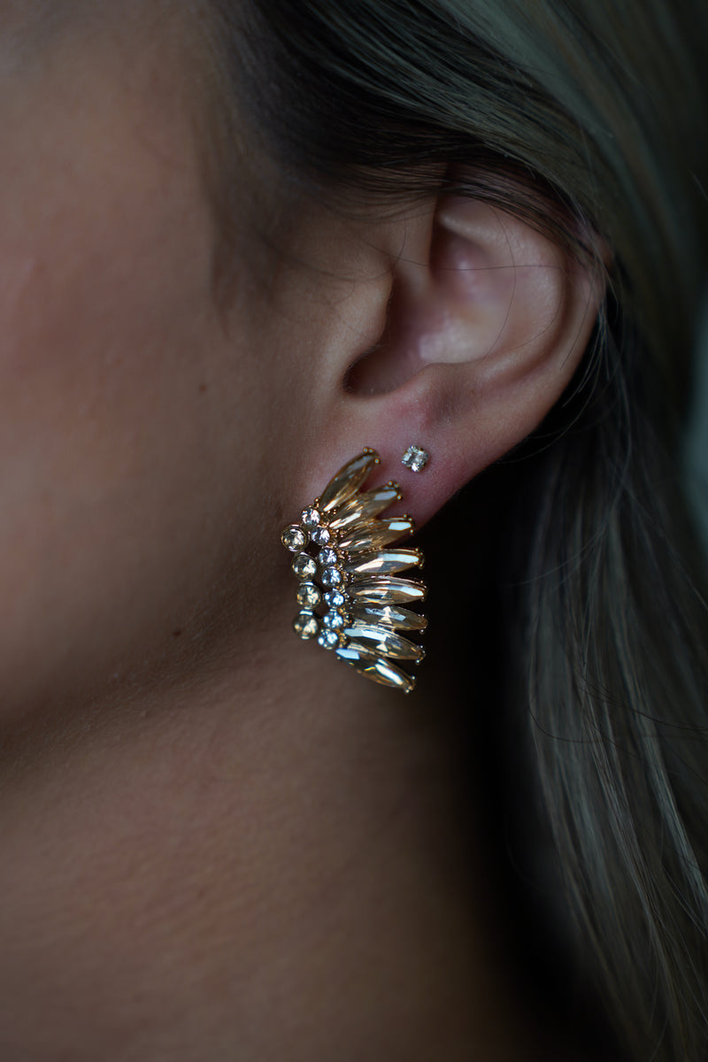 Pendientes Mariana Rosa
