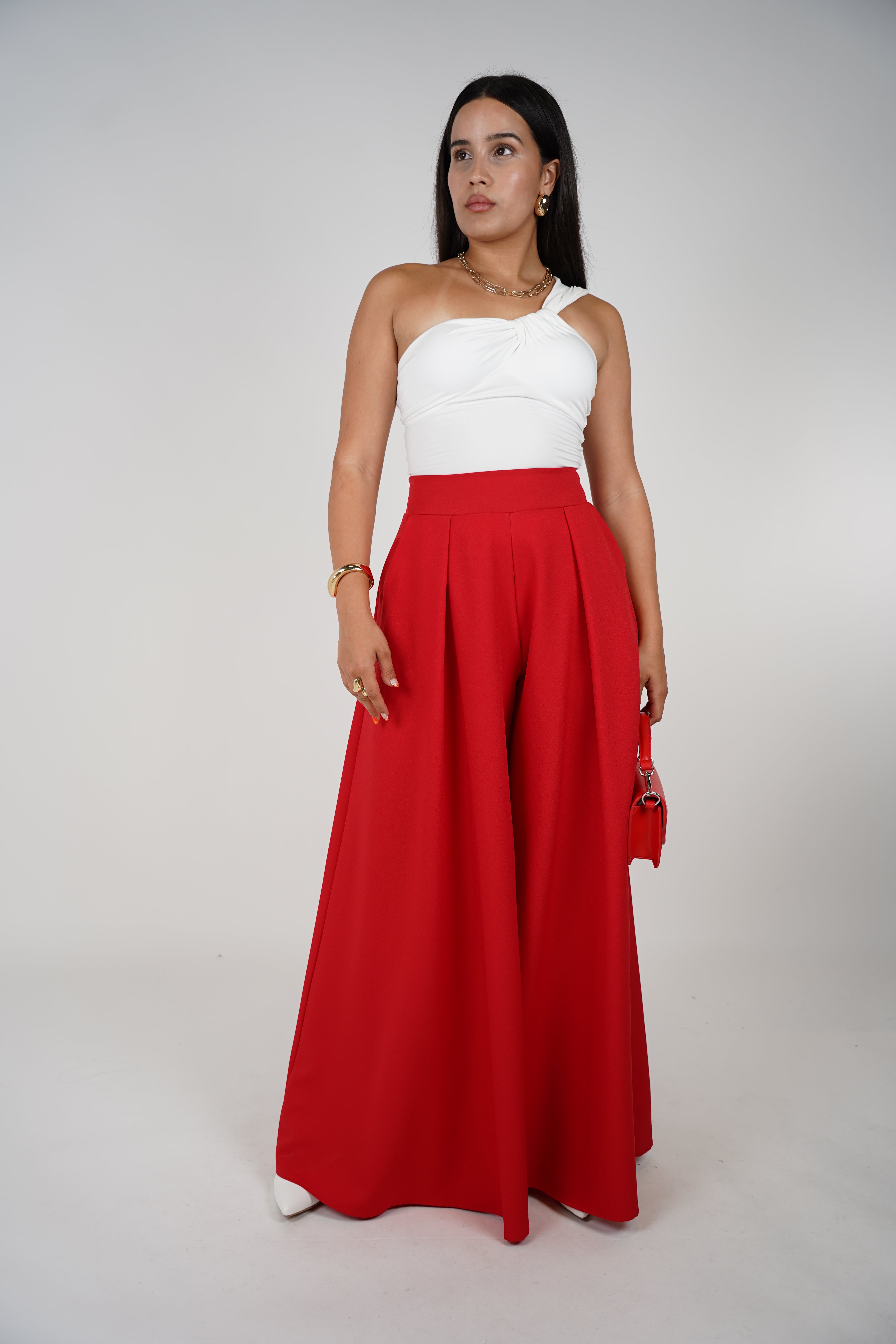 Berta Palazzo Pants – Bold Flow & Effortless Elegance