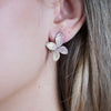 Helin Butterfly Earrings – Graceful Sparkle in Motion