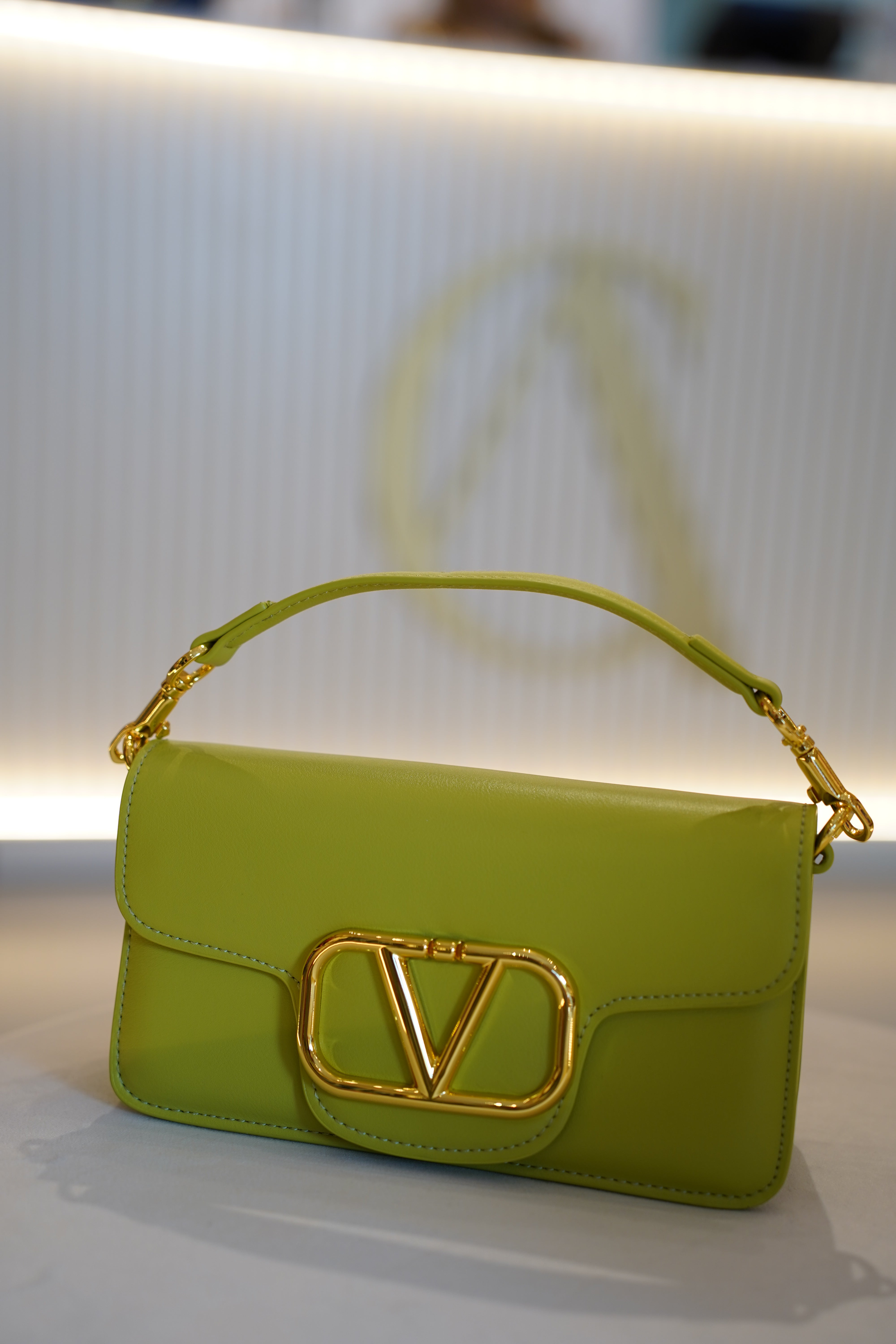 Elaine Versatile Bag – Bold Elegance with a Twist